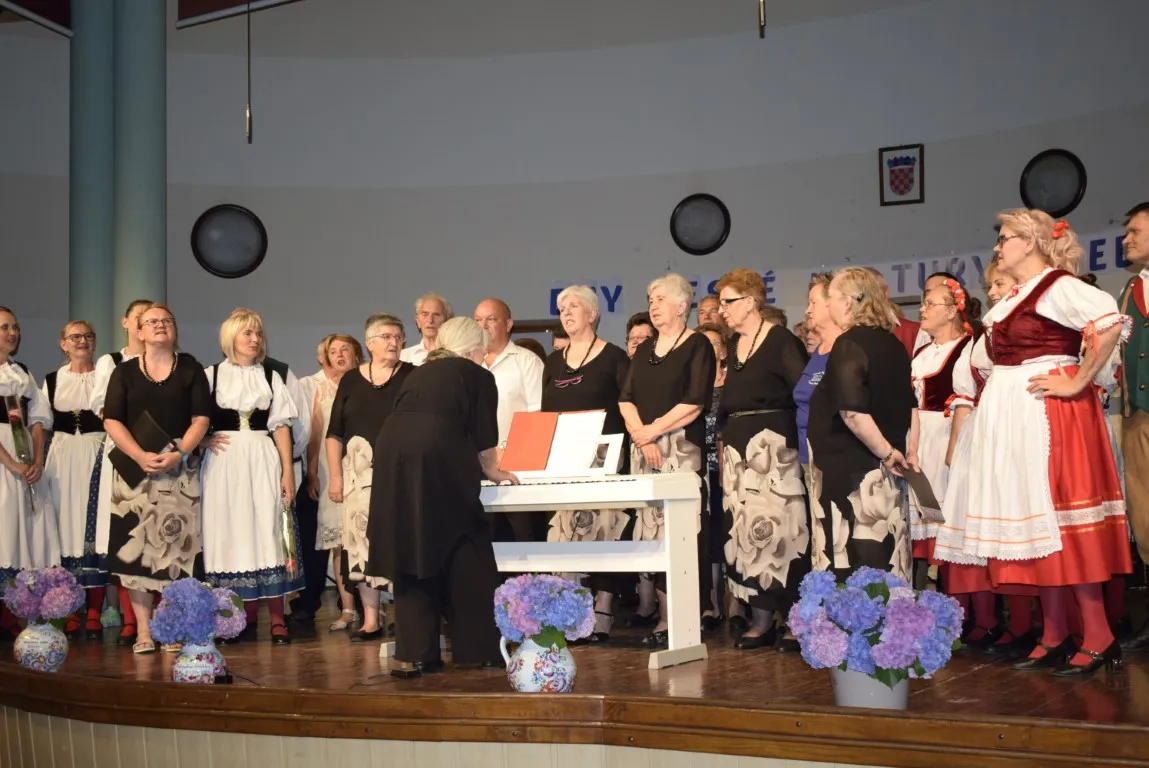 glavna česi