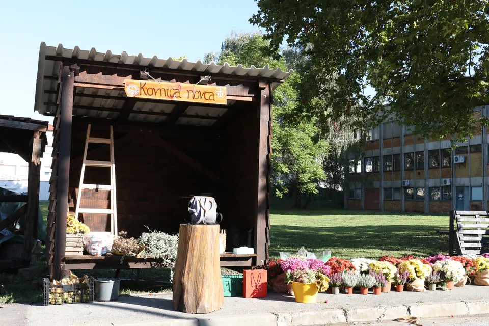 kovnica novca