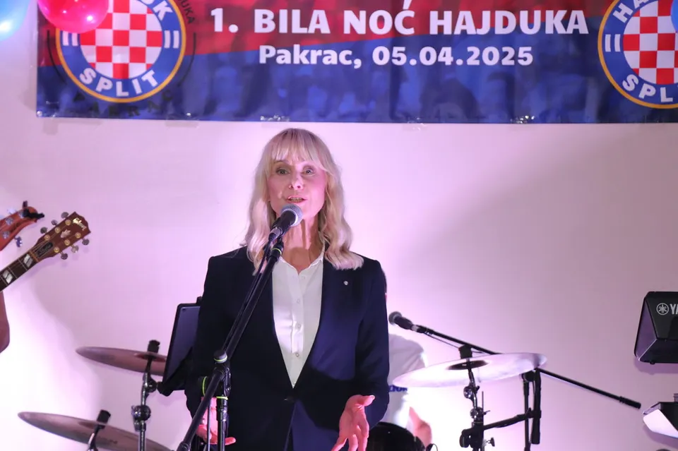 Fotografija uz članak „1. BILA NOĆ PAKRAC Došli, vidjeli, jako se zabavili“