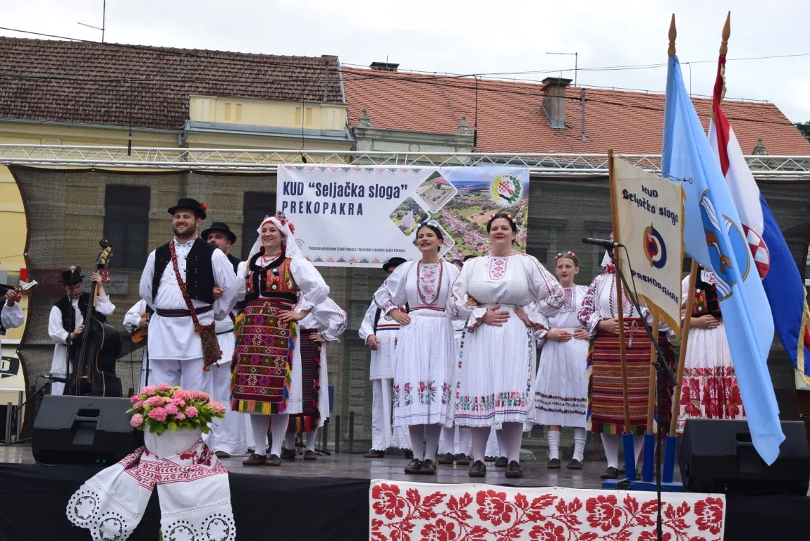 smotra folk 1