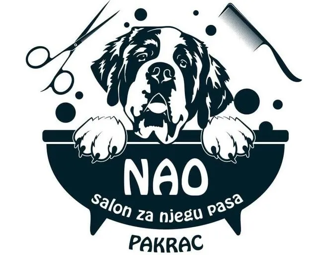 naosalon