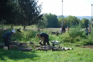 Fotografija uz članak „Školska ekipa u akciji uređenja okoliša“