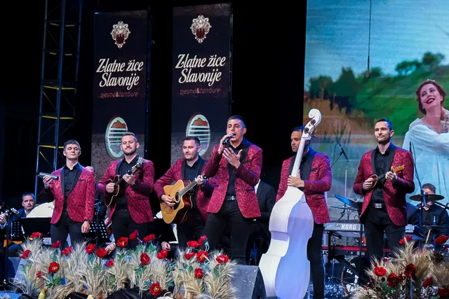 zlatne zice slavonije naslovna 2025