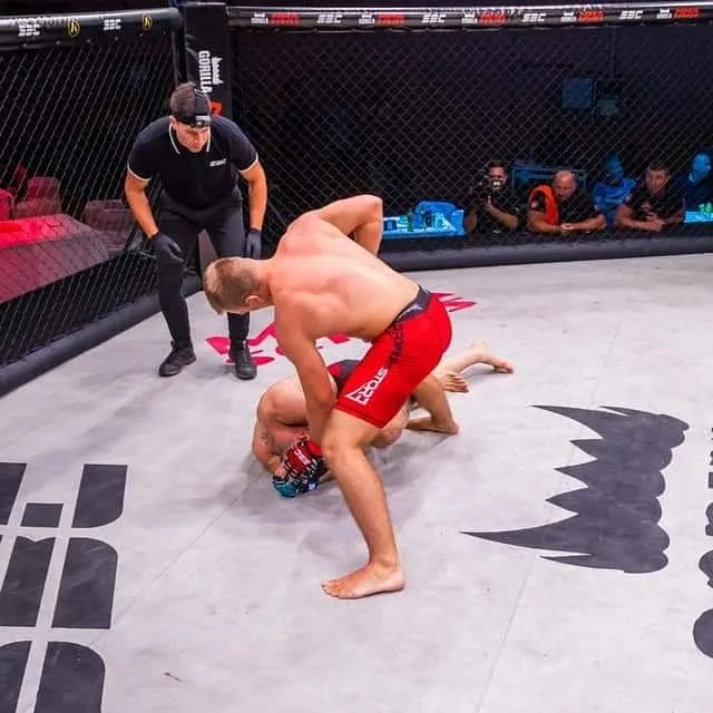 Fotografija uz članak „MMA TURNIR U SOMBORU Krajačić nokautom do nove pobjede!“