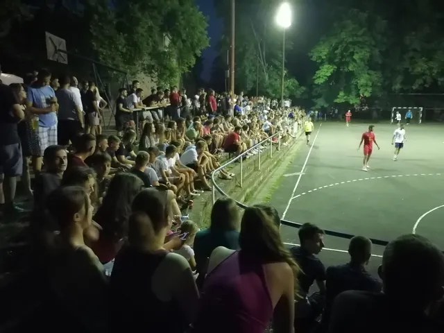 turnir publika