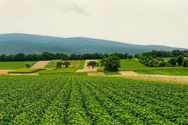 Ruralno