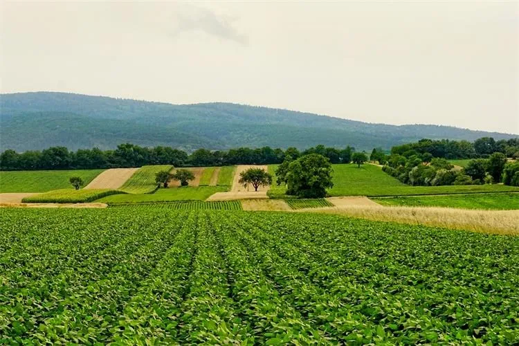 Ruralno