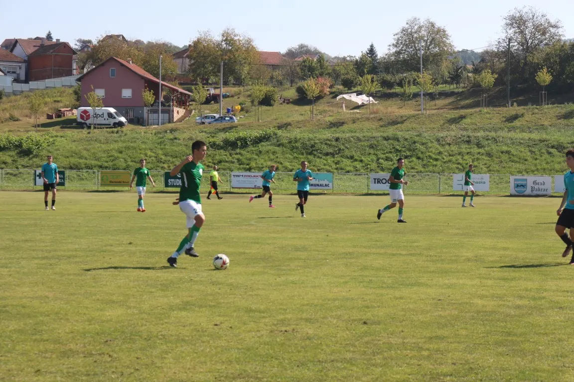 nš lipa naslovna