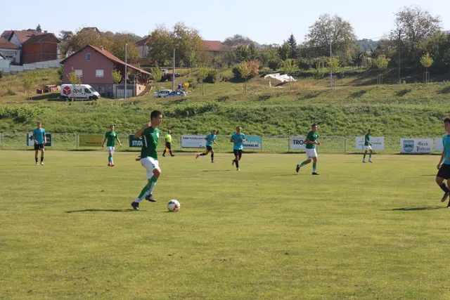 nš lipa naslovna