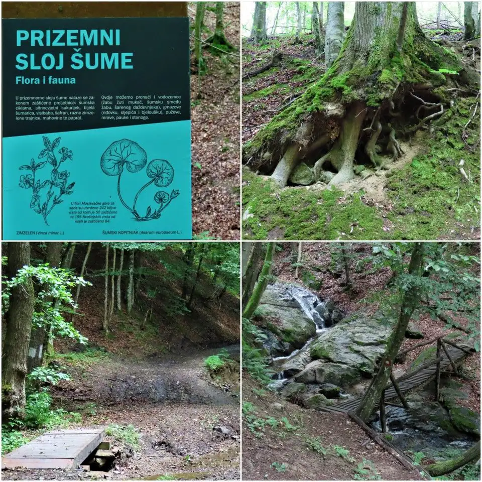 Fotografija uz članak „OČI PUNE HRVATSKE Bela crkva (Moslavačka gora)!“