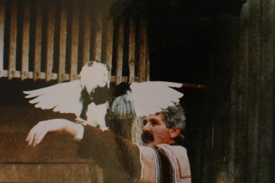 brico golub