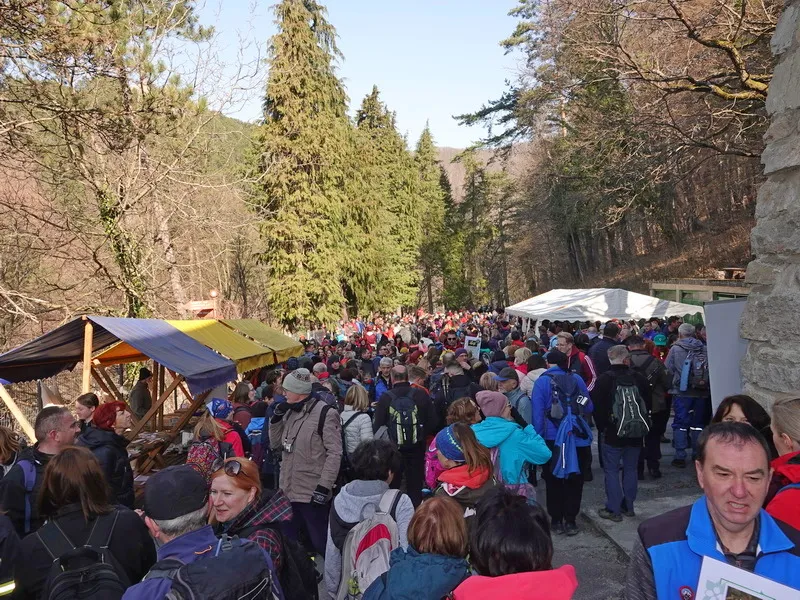 Fotografija uz članak „(PROMO) TRADICIONALNI PLANINARSKI POZDRAV PROLJEĆU: Najavljeno 42. izdanje Papučkih jaglaca“