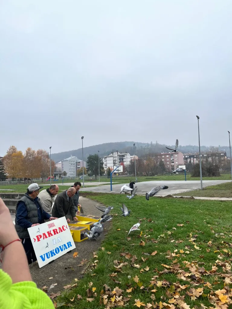 sjećanje 5 1
