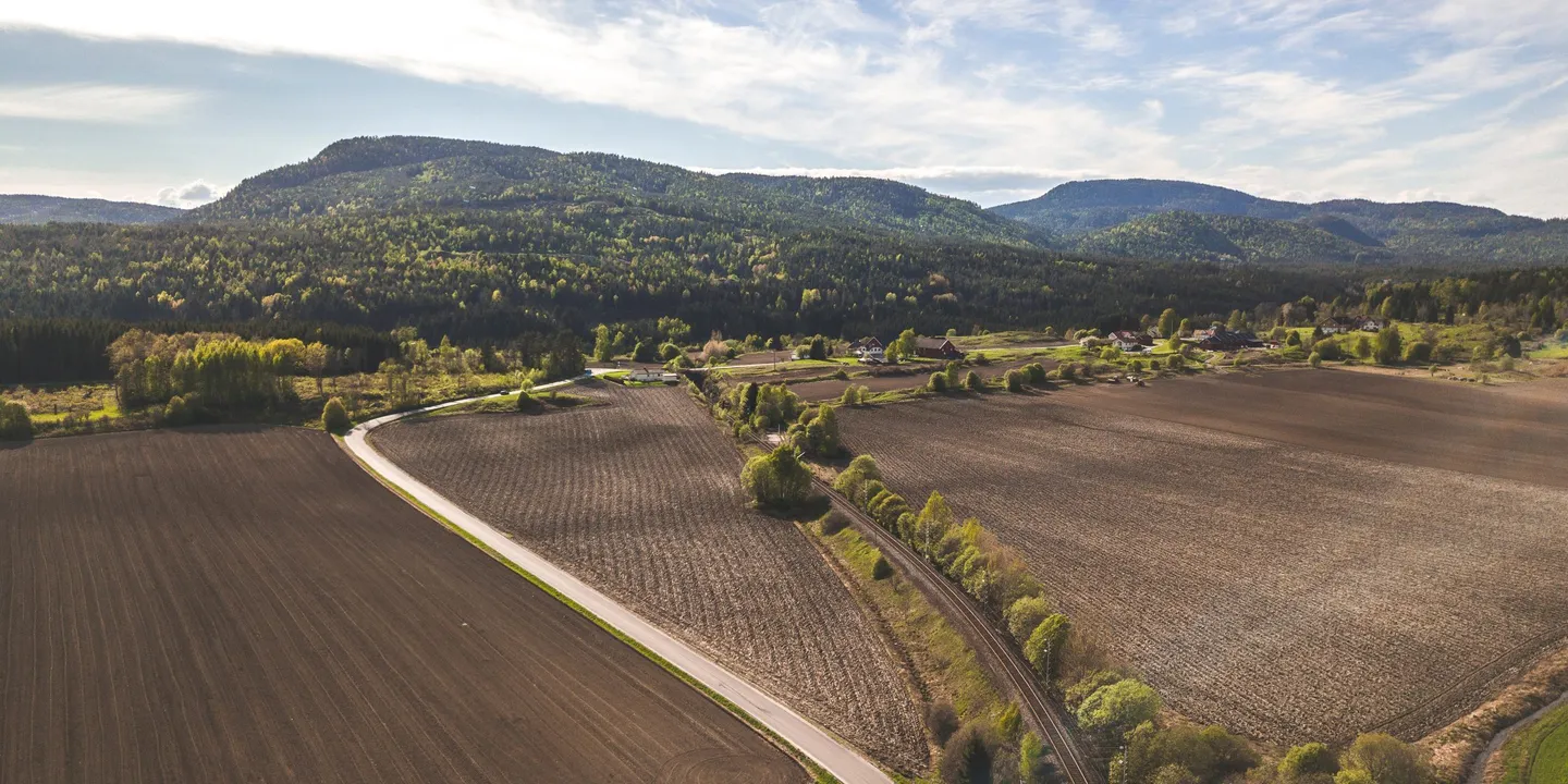 Canva Farm Field scaled
