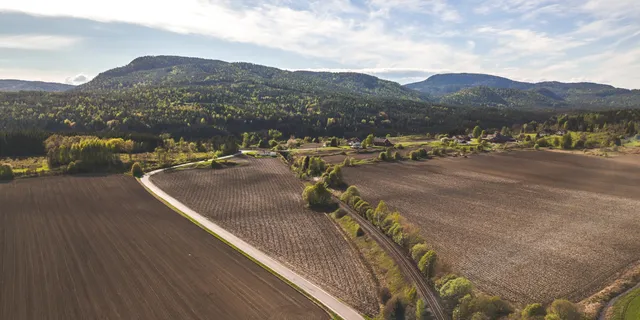 Canva Farm Field scaled